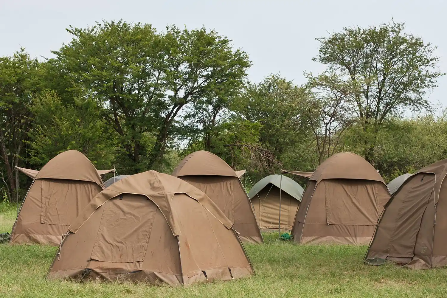 Tanari Trust campsite