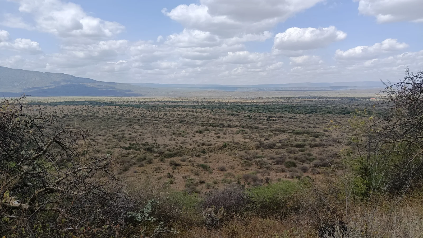 Tanari Trust campsite
