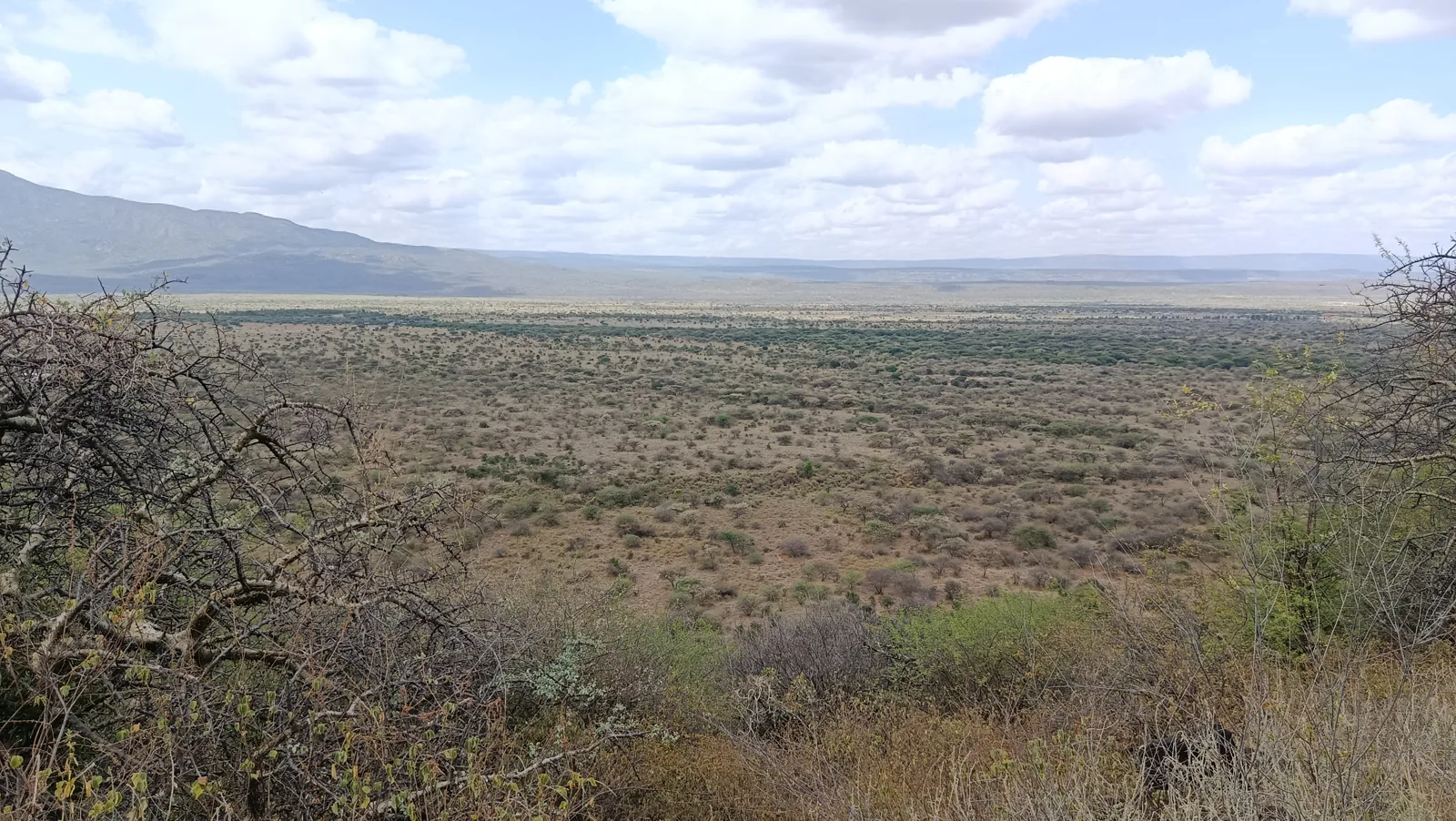 Camp Oltepesi site, Magadi